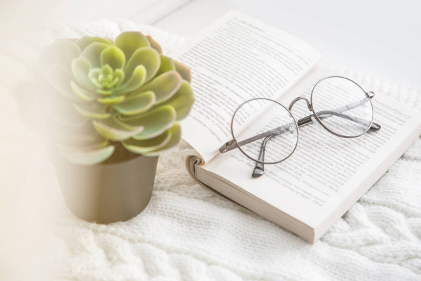 home comfort and winter evening. soft focus vintage glasses, succulent, book on a knitted rug flatlay. learning, profession editor, proofreader, writer - Valokuva, kuva