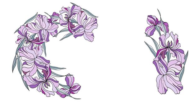 Irises hand drawn for cards, greetings, wedding invitations. - Вектор,изображение