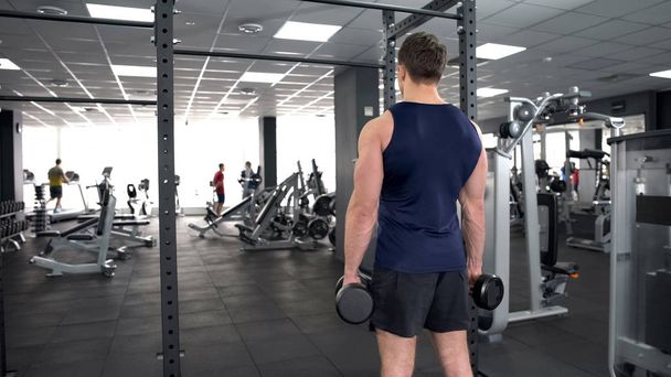 Male bodybuilder lifting dumbbells in gym, sport exercises for health, back view - Fotó, kép