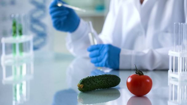 Ortaggi che giacciono sulla tavola di laboratorio studi alimentari geneticamente modificati, allevamento
 - Foto, immagini