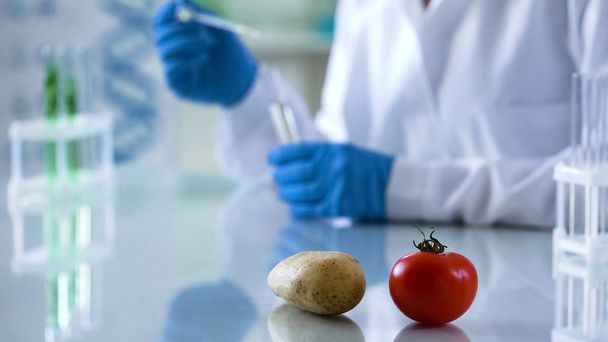 Testy genetyczne, hodowla w rolnictwie, warzywa na stole laboratoryjnym, naukowiec, Dokonywanie - Zdjęcie, obraz