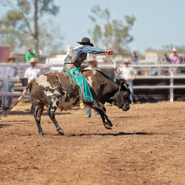 Un cowboy che gareggia nella competizione di cavalcate a un rodeo di campagna - Foto, immagini