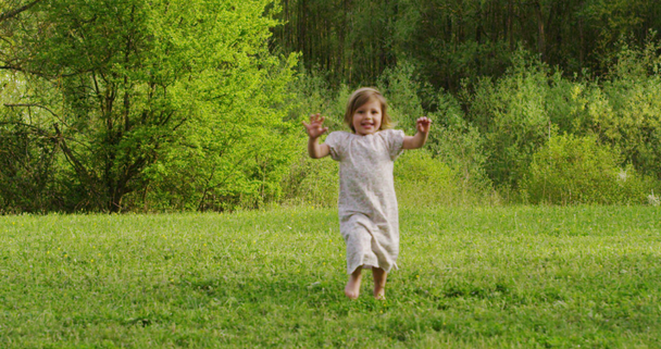 twee-jarige meisje loopt richting een boom in een weide en groeit als hij loopt. concept van groei, leven doorgeven, passerende tijd. aangenaam leven en vrijheid - Video