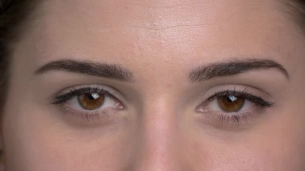 Close up brown female eyes. - Záběry, video