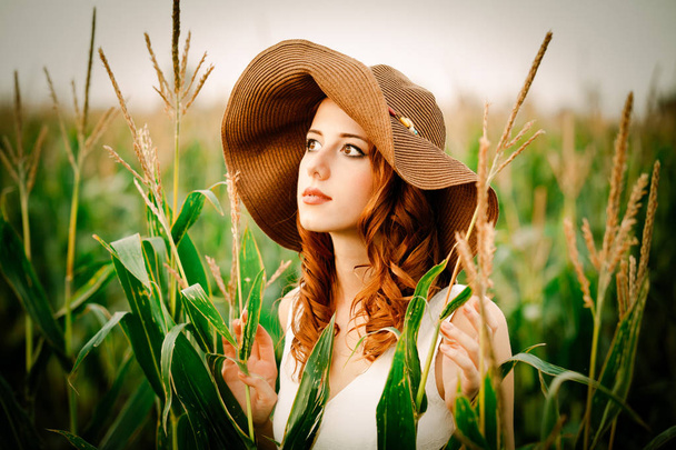 Стильная рыжая девушка в шляпе и белом платье стоит на поле кукурузных початков в сельской местности
. - Фото, изображение