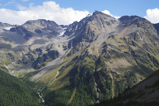 Alpy w vinschgau - Zdjęcie, obraz