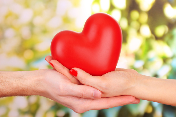 Red heart in woman and man hands, on green background - Foto, Imagen