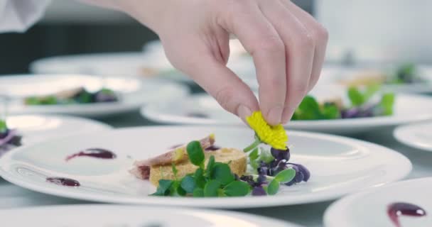 Catering-Verfahren, Siegel, Zubereitung von Gerichten und Restaurants, Konzept der Eleganz und Luxus in der italienischen Küche - Filmmaterial, Video