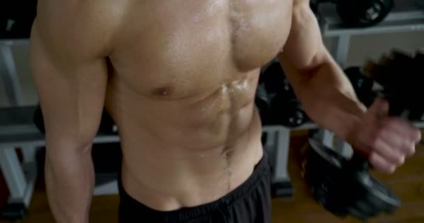 video of muscular shirtless man with heavy dumbbells in gym  - Footage, Video