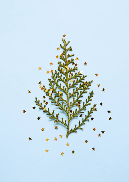Branch of pine with glitters stars on blue background. - Fotoğraf, Görsel