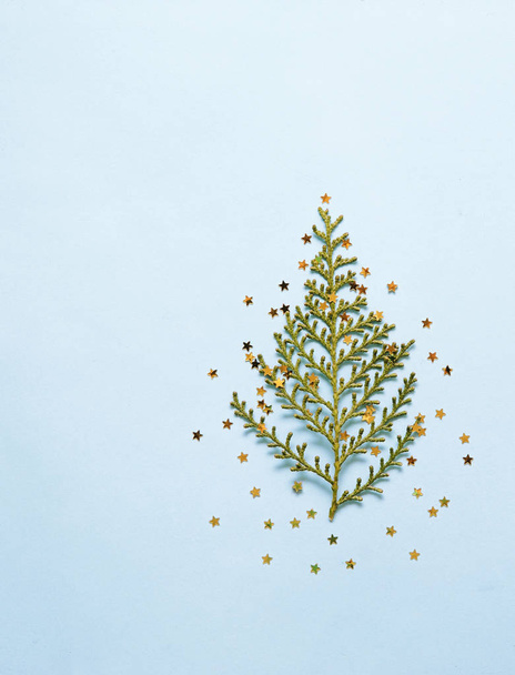 Branch of pine with glitters stars on blue background. - Φωτογραφία, εικόνα