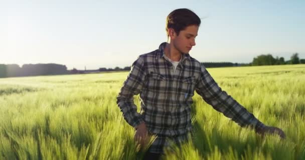 slow motion video of young man in field with green grass, touching grass  - Séquence, vidéo
