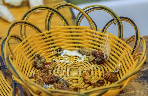 Silkworm larva in a basket, process of making silk thread by hand at a factory in Beijing, China - Photo, Image