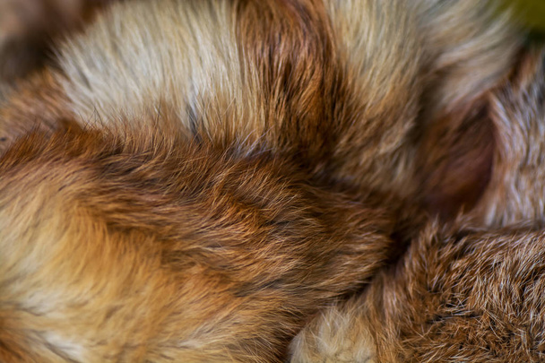 Klasszikus és luxus vörös róka szőrme - Fotó, kép