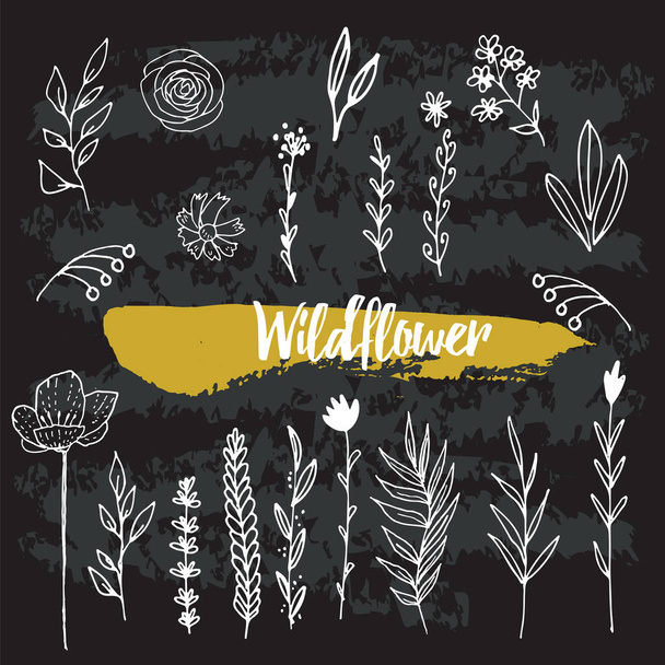 Collection of Hand Drawn Wild Flowers - Vector, Imagen