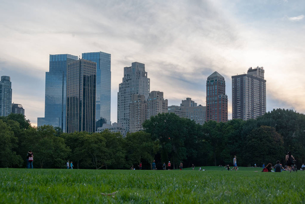 Ουρανοξύστες από το Central Park - Φωτογραφία, εικόνα