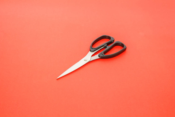 czarny nożyce wyrębarskie na czerwonym tle - Zdjęcie, obraz
