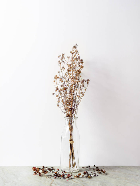 Букет сушеных и вялых коричневых цыганских цветов в стеклянной бутылке на матовом мраморном полу и белом фоне
 - Фото, изображение
