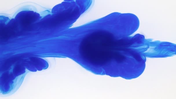 Abstract bizarre forms of blue ink on a white background. Beautiful movements of blue paint under water. - Video, Çekim