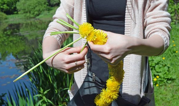 Woman hands weaving  wreath of dandelions on bank of  beautiful lake or river - Photo, Image