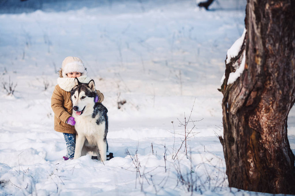 Petite fille drôle étreignant son gros chien Malamute en hiver dans la forêt
. - Photo, image
