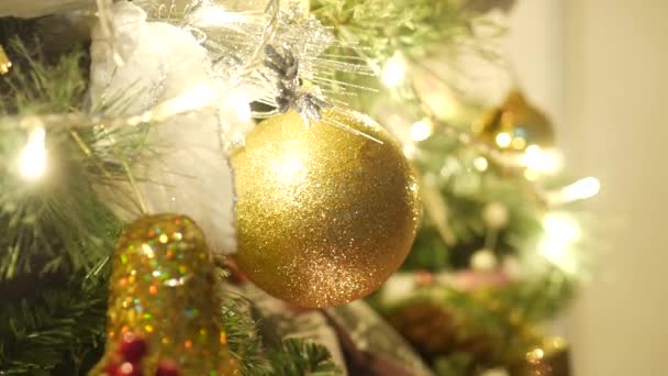 hermoso abeto decorado de Navidad
 - Metraje, vídeo