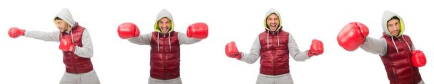 Muž v boxerských rukavicích izolovaných na bílém - Fotografie, Obrázek