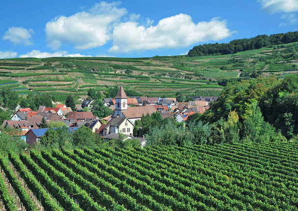 Wine Village of Achkarren at Kaiserstuhl wine region,black Forest,Germany - Фото, изображение