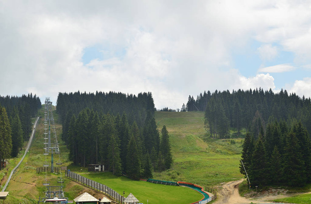 Groene heuvels met ski track tussen dennen en sparren in de zomer - Foto, afbeelding