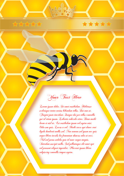 honingraat en bijen - Vector, afbeelding