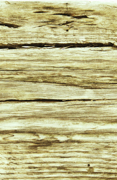 Corteza vieja del detalle de la textura del árbol
  - Foto, Imagen