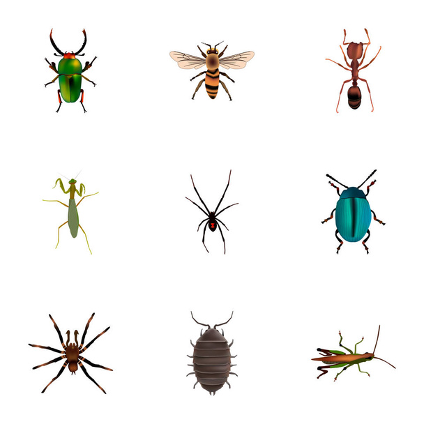 Set di simboli realistici per insetti con mantide, bug, insetti e altre icone per il design del logo della tua app mobile web
. - Vettoriali, immagini