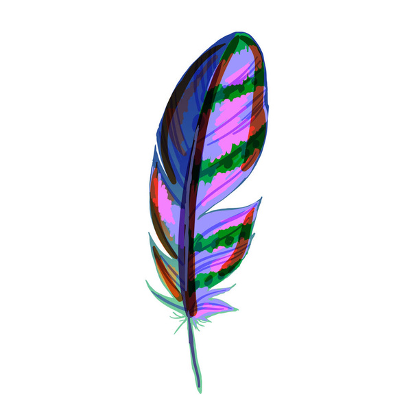 Beautiful colored feather isolated on white background. Vibrant bird plumage. Vector illustration - Вектор,изображение