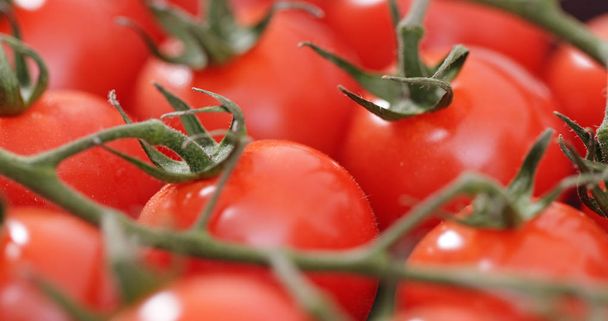 Red cherry tomatoes closeup - Photo, Image