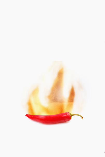 Κόκκινες καυτερές πιπεριές σε λευκό φόντο - Φωτογραφία, εικόνα