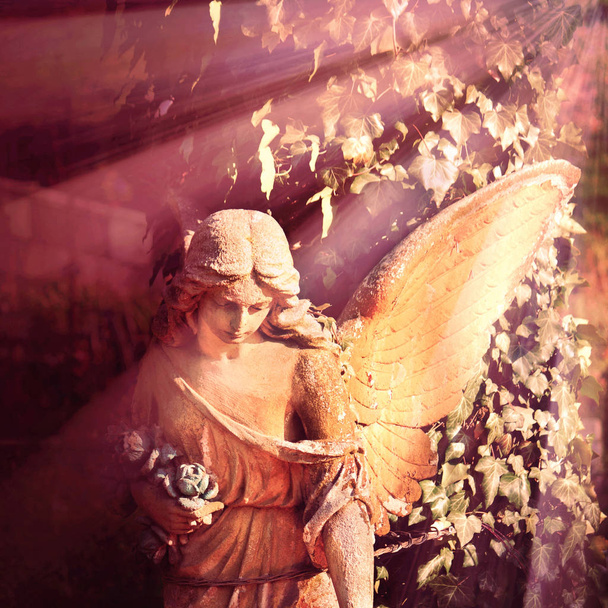 ange dans la lumière du soleil (statue antique
) - Photo, image