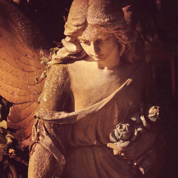 Piękna z bliska af twarzy anioła kamień rzeźba z słodki wyrażenie, który patrzy (fragment rzeźby) - Zdjęcie, obraz
