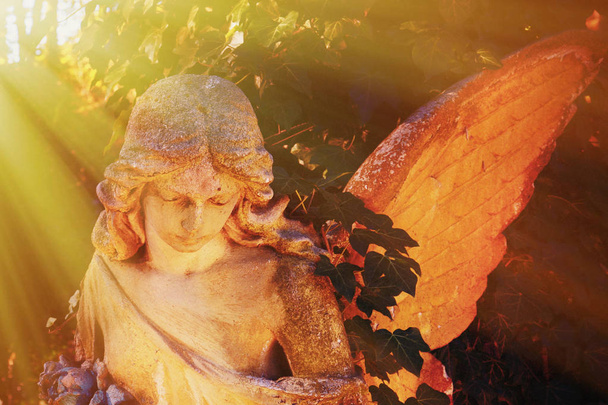 Estatua antigua de ángel de oro a la luz del sol
.  - Foto, imagen