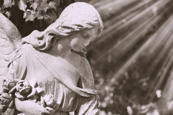 Vintage obraz smutný Anděl na hřbitov na pozadí listí - Fotografie, Obrázek