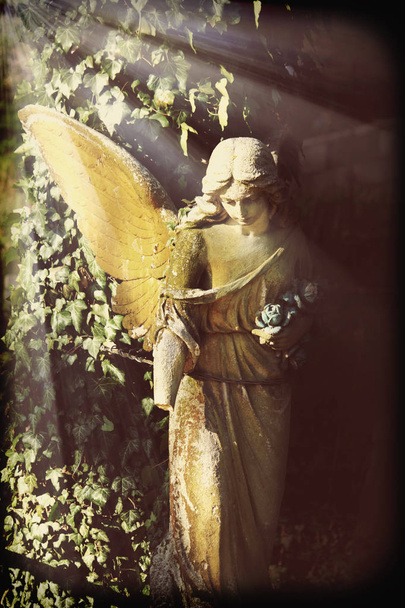 stylizovaný anděl v vintage obraz sluneční světlo (antické sochy) - Fotografie, Obrázek
