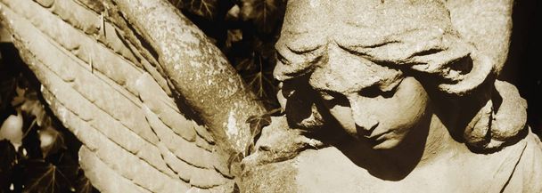Vintage foto van een trieste engel op een kerkhof tegen de achtergrond van bladeren (details) - Foto, afbeelding