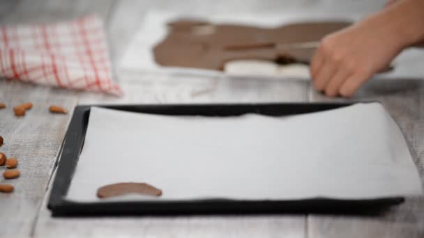 Rohe Schokoladenkekse auf ein Backblech mit Backpapier legen, fertig backen. - Filmmaterial, Video