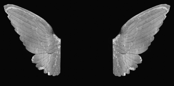 engel vleugels als een symbool van goedheid en heiligheid - Foto, afbeelding