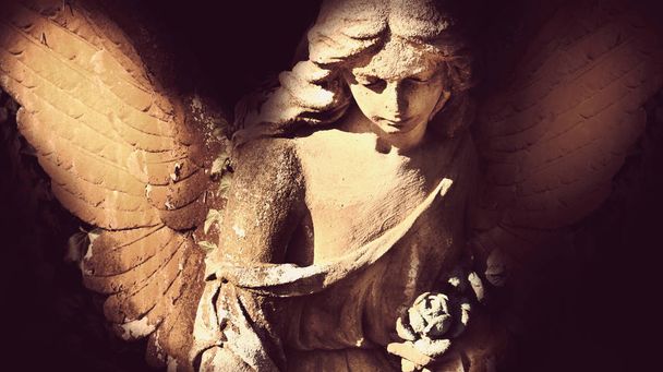 日光 (アンティーク像の天使) - 写真・画像