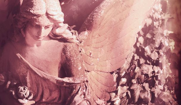 ángel en la luz del sol (estatua antigua
) - Foto, imagen