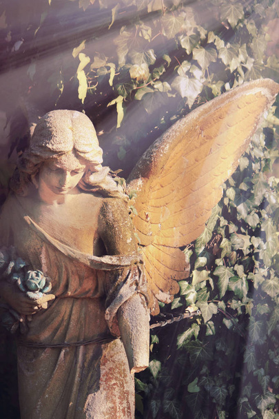 angel in the sunlight (antique statue) - Photo, Image