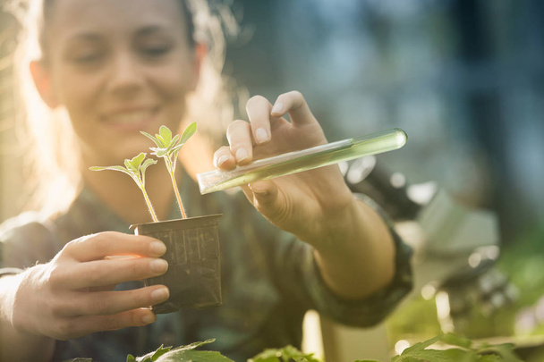 Mujer joven y bonita agricultora vertiendo productos químicos en maceta con plántulas en invernadero
 - Foto, Imagen