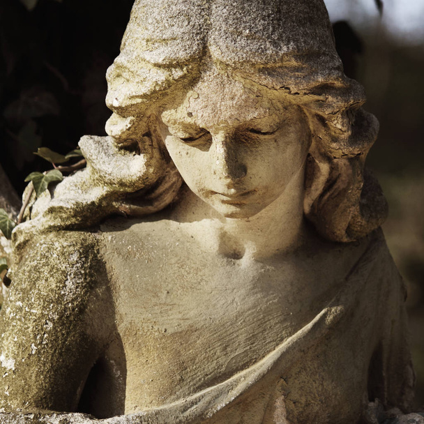 Bonito close up af um rosto escultura de pedra de anjo com uma expressão doce que olha para baixo (fragmento de escultura
) - Foto, Imagem