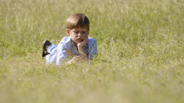 Young school boy doing homework alone, lying on grass - Footage, Video