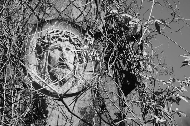 Twarz Jezusa korony cierniowej (statua) - Zdjęcie, obraz